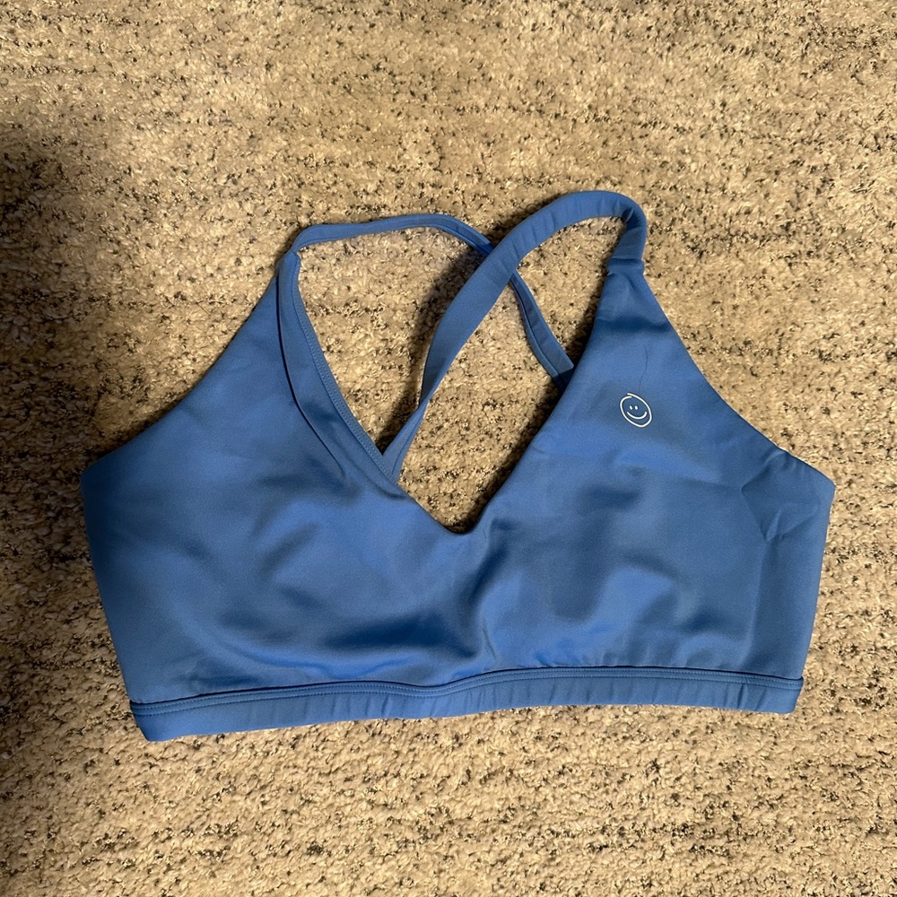 Stylish Blue Sports Bra